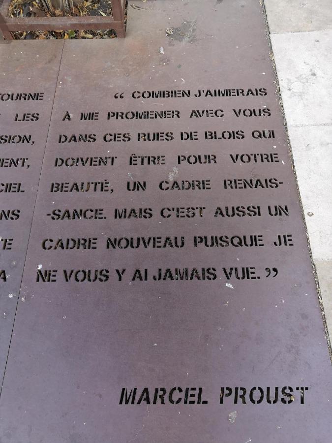 شقة بلْوا  في Au Fil De Loire المظهر الخارجي الصورة